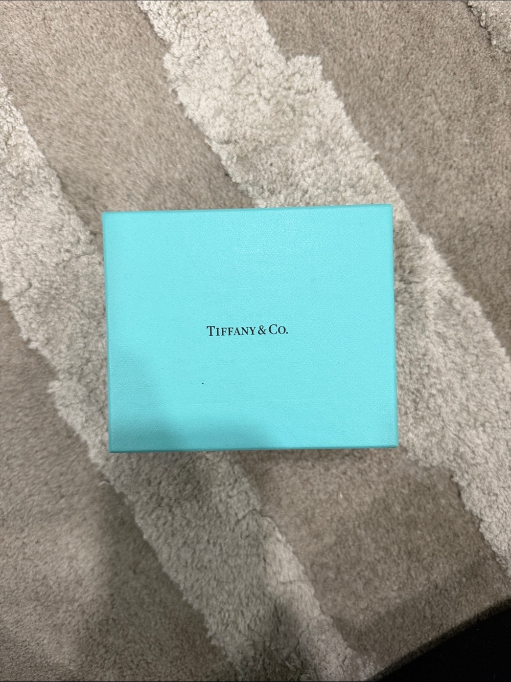 Tiffany & Co. Blue Branded Jewelry Box